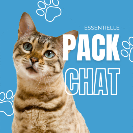 Chat Box 1 – Essentielle
