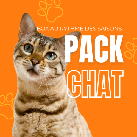 Box au Rythme des Saisons | Chat Box 3