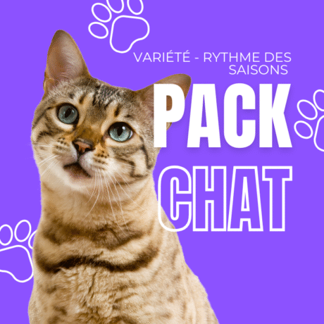 Variété - Rythme des saisons | Chat Box 2