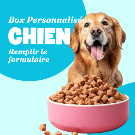 Créez la Box Personnalisée de Votre Chien