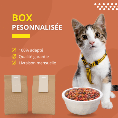 Créez la Box Personnalisée de Votre Chat